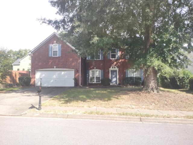 Cork Oak Ln