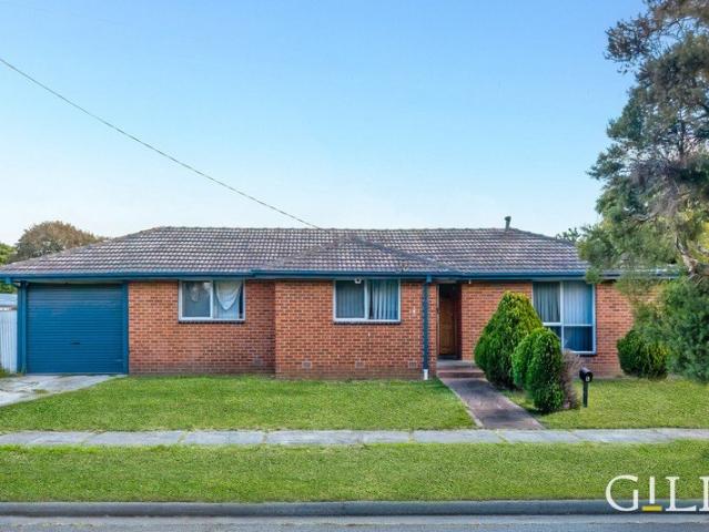 Corner Block Opportunity in the Heart of Hampton Park