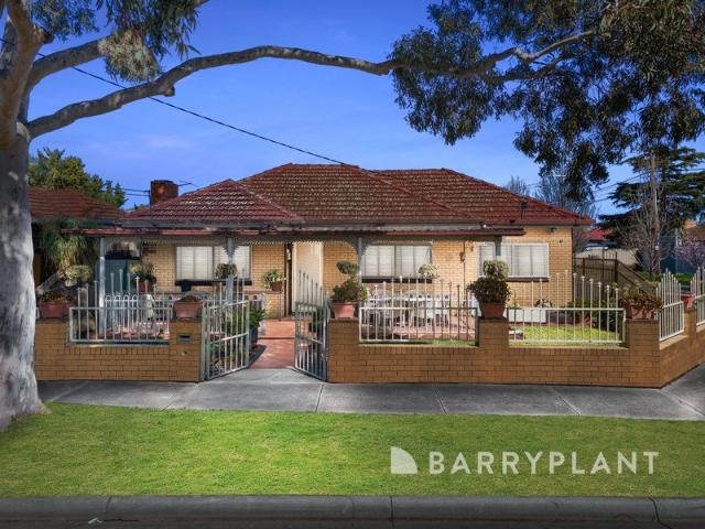 Corner Block Living with Beautiful Landscaped Gardens