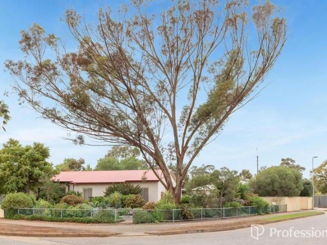Corner Block Living with Established Charm