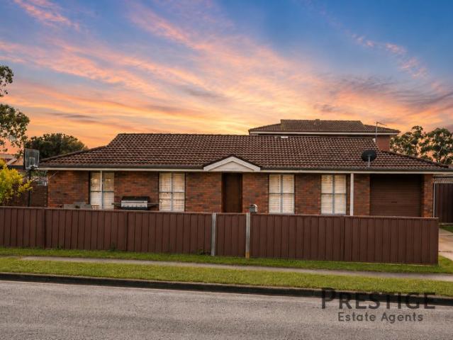 Corner Block with Self Contained Sleepout & Dual Driveway Access