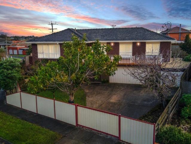 Corner Family Sanctuary Filled With Light, Space & Lifestyle Appeal