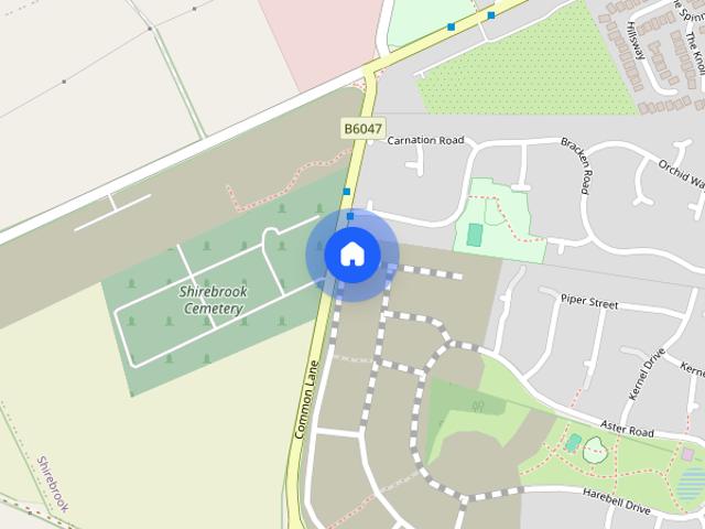 Cornflower Avenue