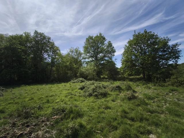 Corp de ferme à restaurer sur 8 hectares de terrain environ