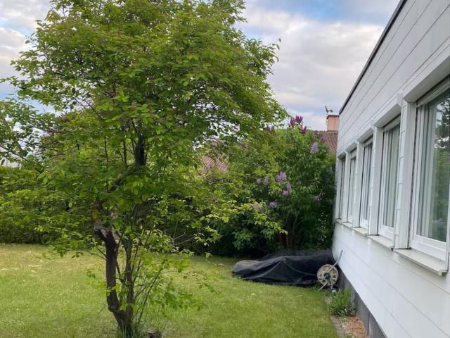 Corporate standard housing with private garden Ulm Amsterdam Apartments for Rent