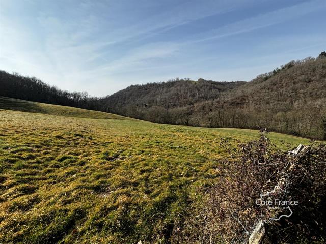 Prix Réduit ! Corps de ferme, avec maison d'habitation, gran. 220m² Maurs