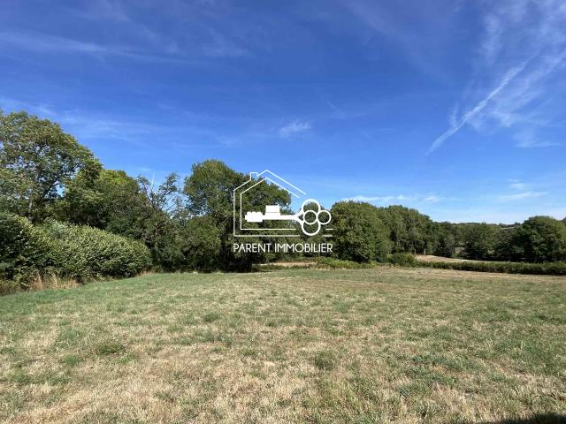 Corps de ferme avec plus de 1 hectare de terrain + atelier Saint Agnant de Versillat