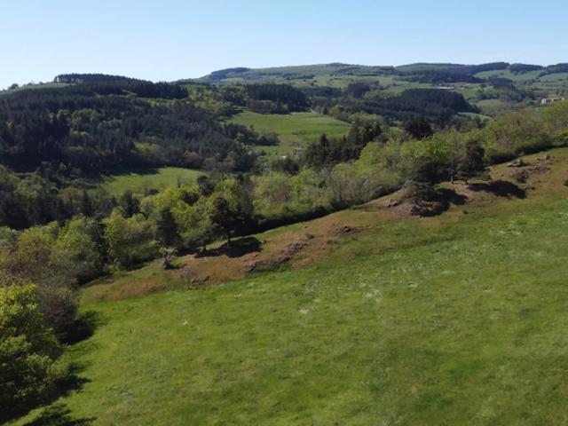 Corps de ferme Bully avec une maison d'habitation de 107 m² rénovée