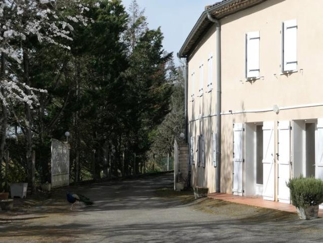 CORPS DE FERME DANS LE LAURAGAIS