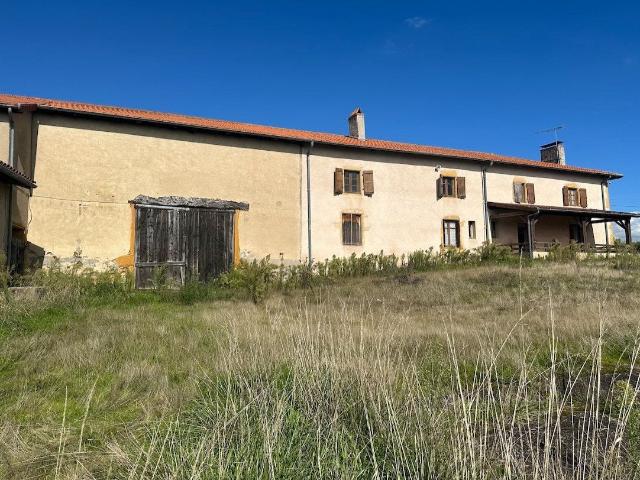 Corps De Ferme Et Dépendances À Rénover. 720 M2 Au Total. 220m² Melay
