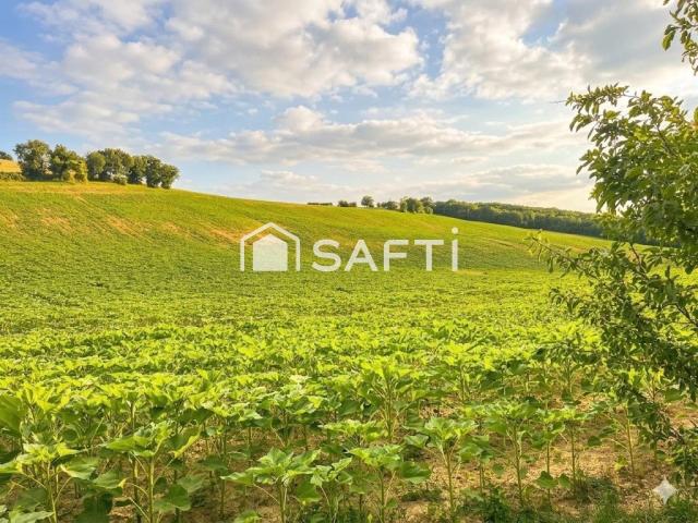 Corps de ferme rénové avec vue dégagée 596m² Rabastens