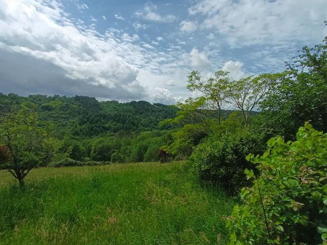 Corps de ferme sans nuisance 97m² Viazac