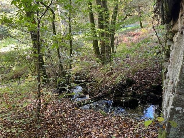 CORREZE