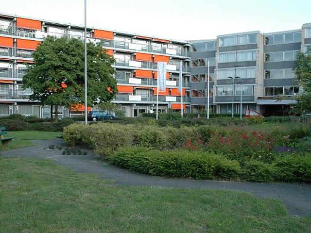 Corridorflat in Amsterdam