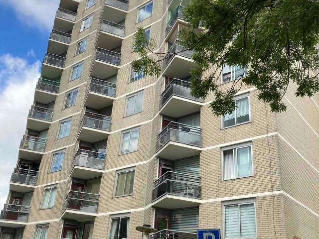 Corridorflat in Zaandam