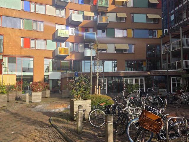 Corridorflat in Zaandam