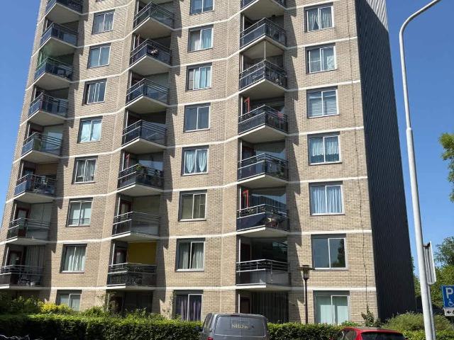 Corridorflat in Zaandam
