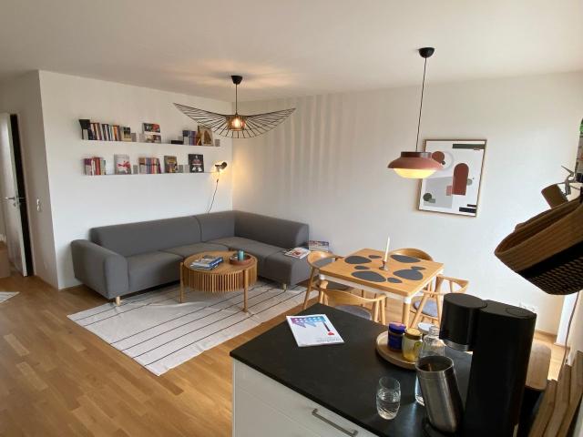 Cosy newly built low energy penthouse appartment in Frankfurt West/Bockenheim, Frankfurt Amsterdam Apartments for Rent
