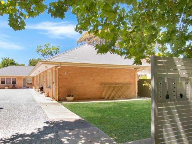 Cosy One Bedroom Unit in Prime Location!