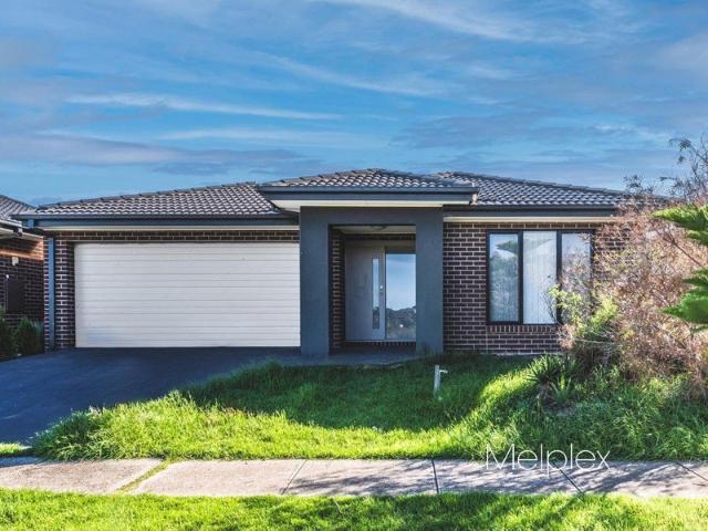 Cosy and Spacious Family Stunner