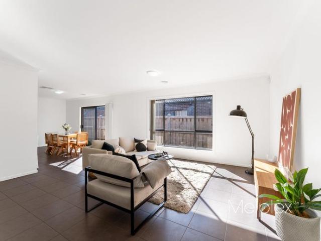 Cosy and Spacious Family Stunner
