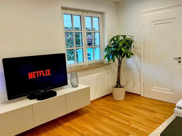 Cosy Apartment in a manufacturer’s villa
