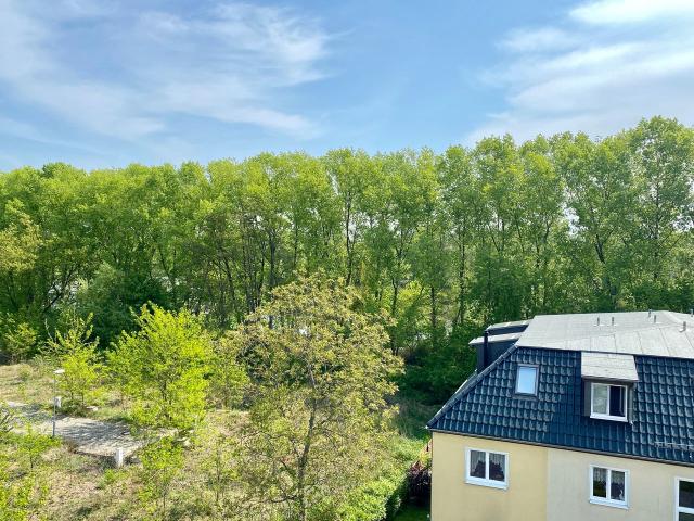 cosy flat, green view 25 min to Alexanderplatz, 600 Mbit/sec, Berlin Amsterdam Apartments for Rent
