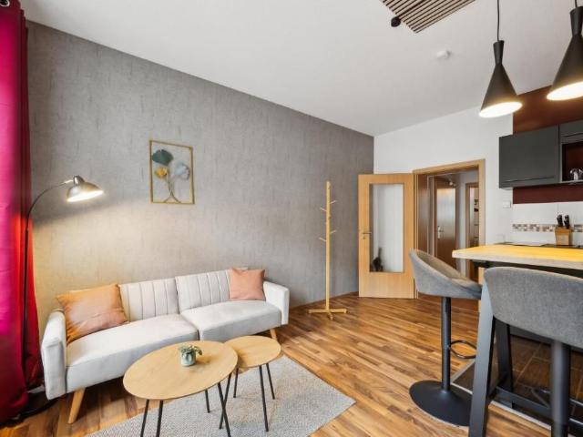 Cosy flat with box spring bed, terrace and private parking space, Chemnitz Amsterdam Apartments for Rent