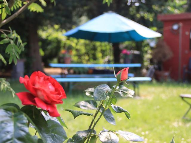 Cosy home: Large apartment on the Lower Rhine, quiet and easy to reach, Moers Amsterdam Apartments for Rent