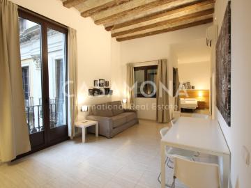 Cosy Studio with Elevator, Balcony and Views over Plaza Reial