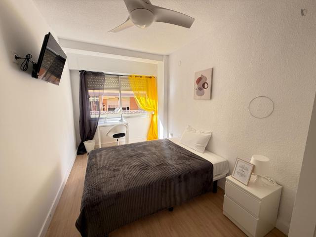 Cosy single bedroom in San Vicente del Raspeig