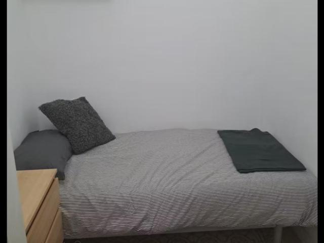 Cosy single bedroom in well linked Sant Antoni