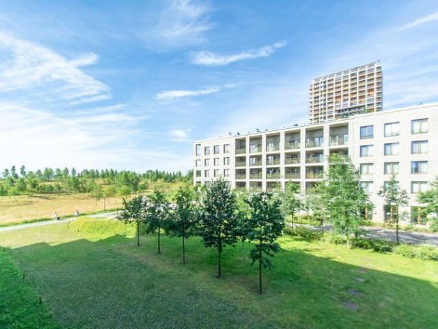 Cosy 1br ap. with beautiful terrace