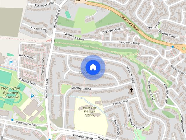 Cosheston road Cardiff