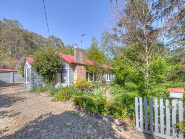Cottage Charm and Garden Magic