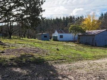 Cottage, Creek and 158 Acres!