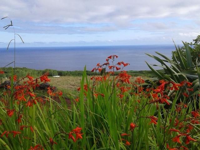 Cottage Faial