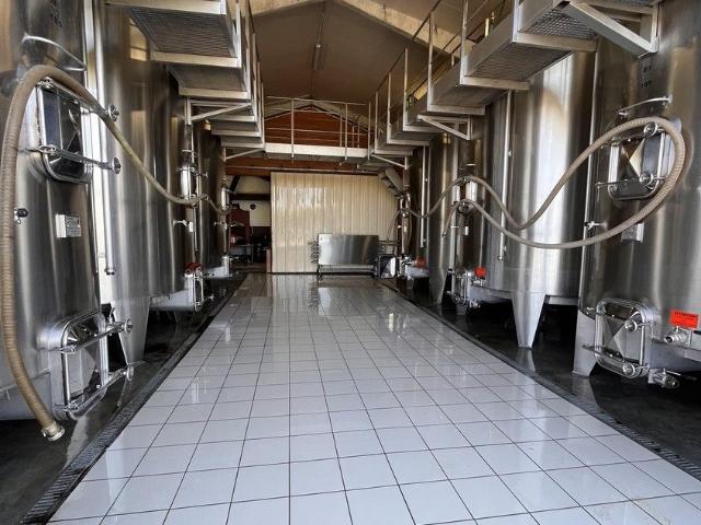 Côteaux de Saint Macaire, Propriété viticole de 22 hectares 80m² Saint Macaire