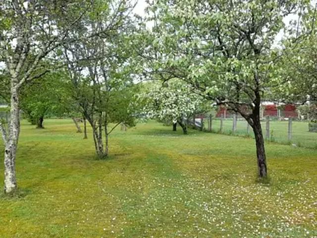 Couzeix 87270 Programme neuf maison neuf à vendre 3 pièces