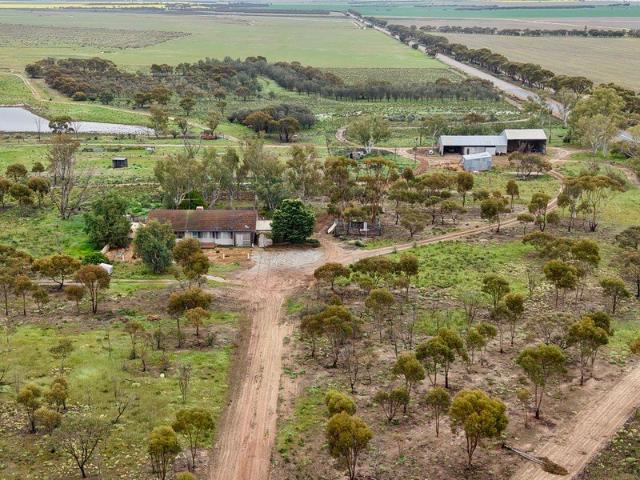 Country Acreage with Homestead, Sheds & Grazing