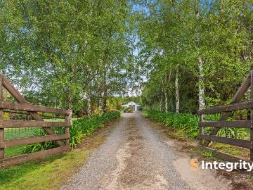 Kinglake East, Nillumbik, Victoria - Garden