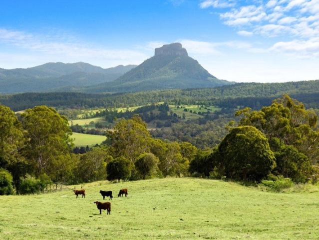 Country Charm Ready for a New Chapter