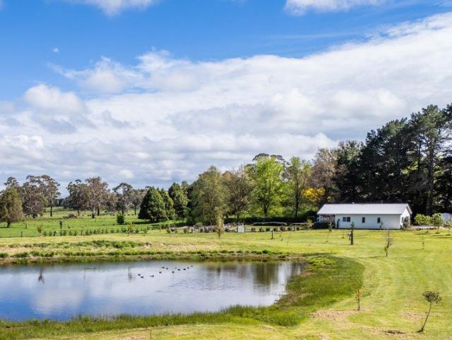 Country Charm with an Impressive Shed