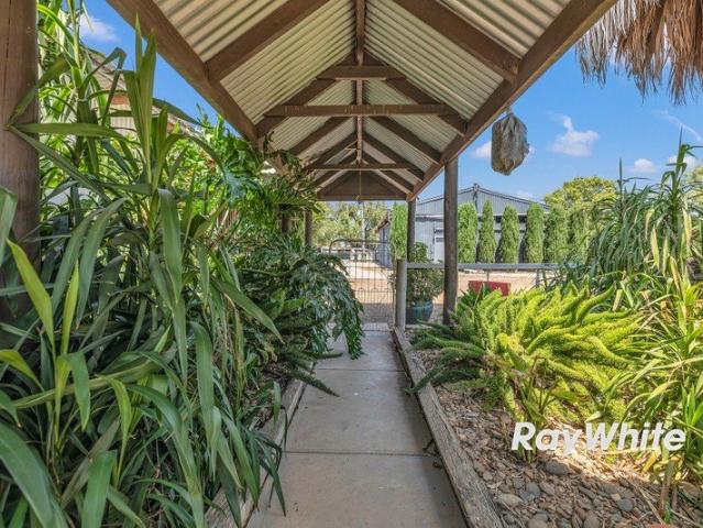 Country Charm with Shed, Pool & Space to Spare