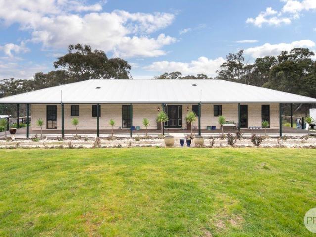 Country Homestead on 5 Acres with Exceptional Shedding