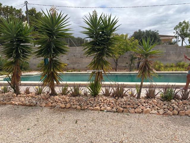 Country House in Crevillente, crevillente, for rent