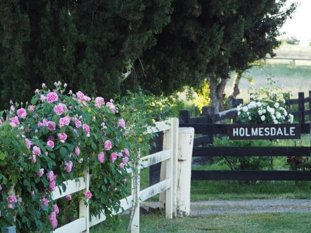 Country life, so close to town. Rare 40ac inside Orange council area with 320sqm brick home + numerous sheds