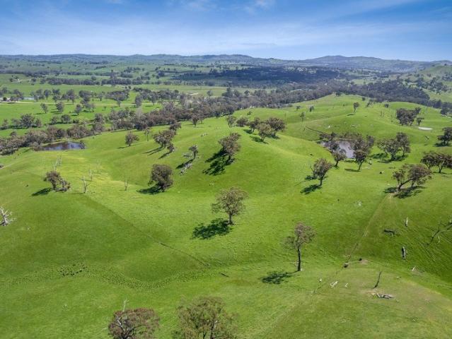 COUNTRY LIFESTYLE AWAITS 127.5 ACRES APPROX. ON TWO TITLES