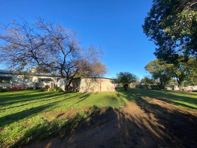 Country Lifestyle in the Heart of Euabalong
