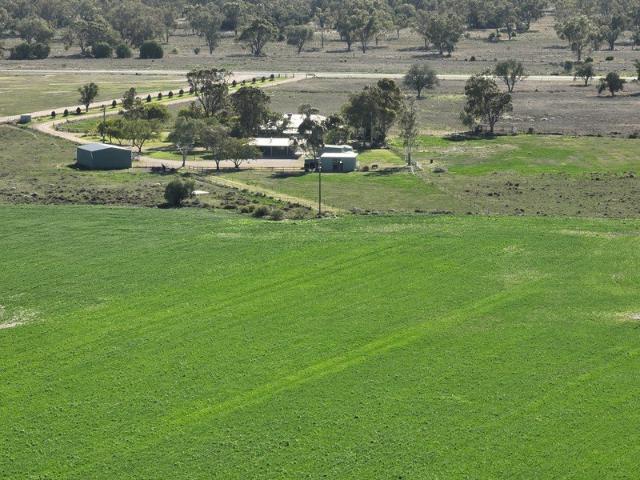 Country Lifestyle Living on Goondiwindi's Doorstep